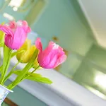 Palace Domus Mea Hotel 3*