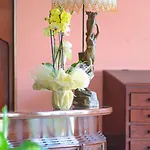 Hotel Palace Domus Mea