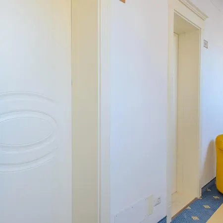 호텔 Palace Domus Mea 리치오네