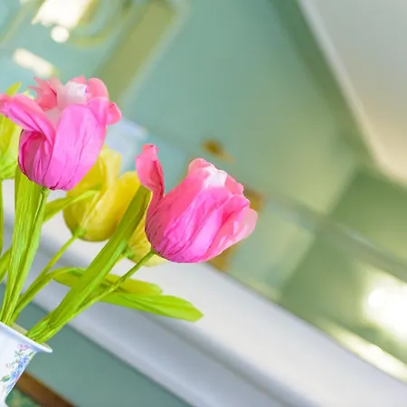 Palace Domus Mea Hotell 3*