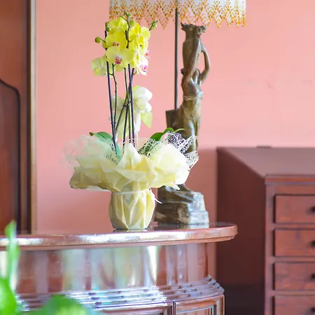 호텔 Palace Domus Mea