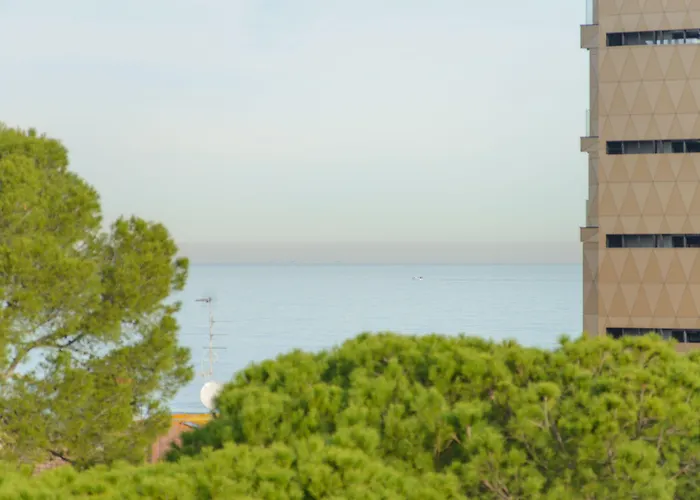 Szálloda Palace Domus Mea Riccione